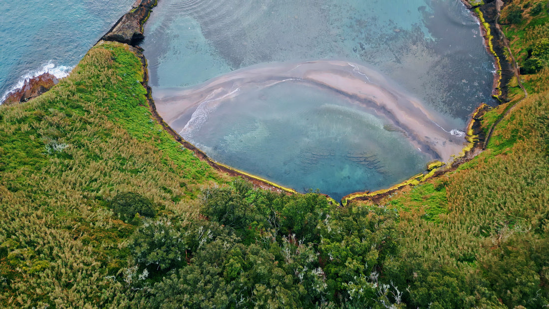 From Pond to Pill: Sustainable, Ethical Sourcing of Chlorella & Spirulina Ensures Your 50-50 Blend is Nutrient-Dense, Planet-Friendly, and Responsibly Produced.