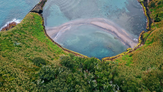 From Pond to Pill: Sustainable, Ethical Sourcing of Chlorella & Spirulina Ensures Your 50-50 Blend is Nutrient-Dense, Planet-Friendly, and Responsibly Produced.
