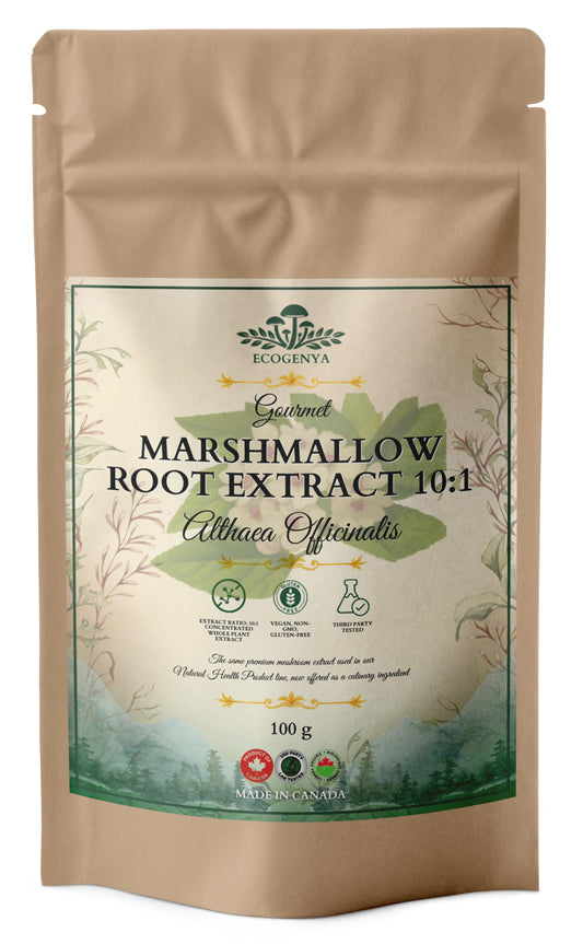 Ecogenya Marshmallow Root Extract 10:1 powder, 100 g kraft pouch