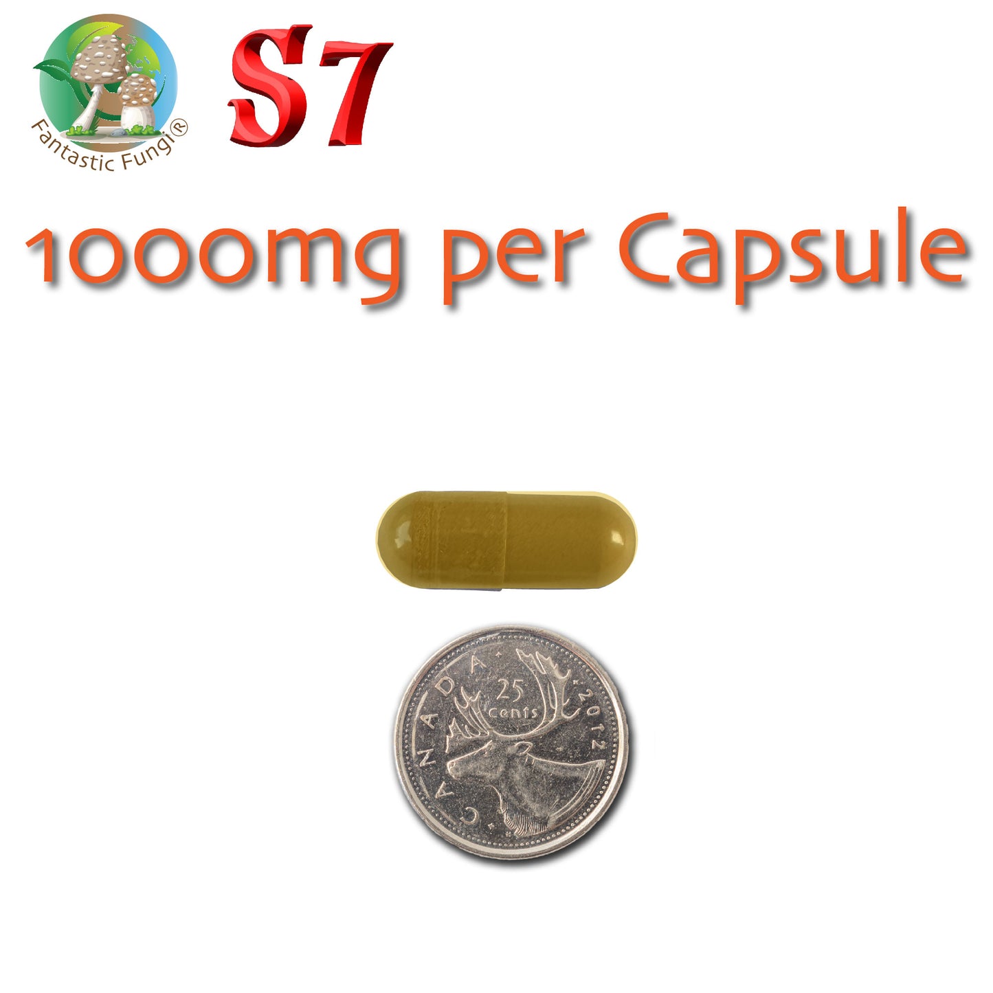 Daily Super 7 Mushroom Capsules – Organic Mushroom Extract Blend