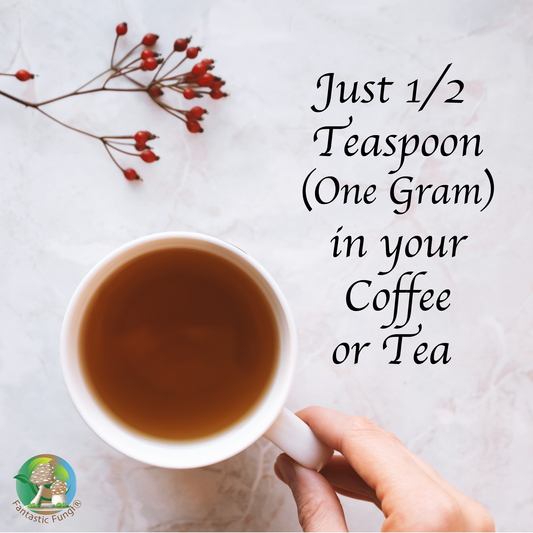 Ecogenya Organic Chaga Mushroom Extract Powder mixed in coffee or tea — packaged in Canada