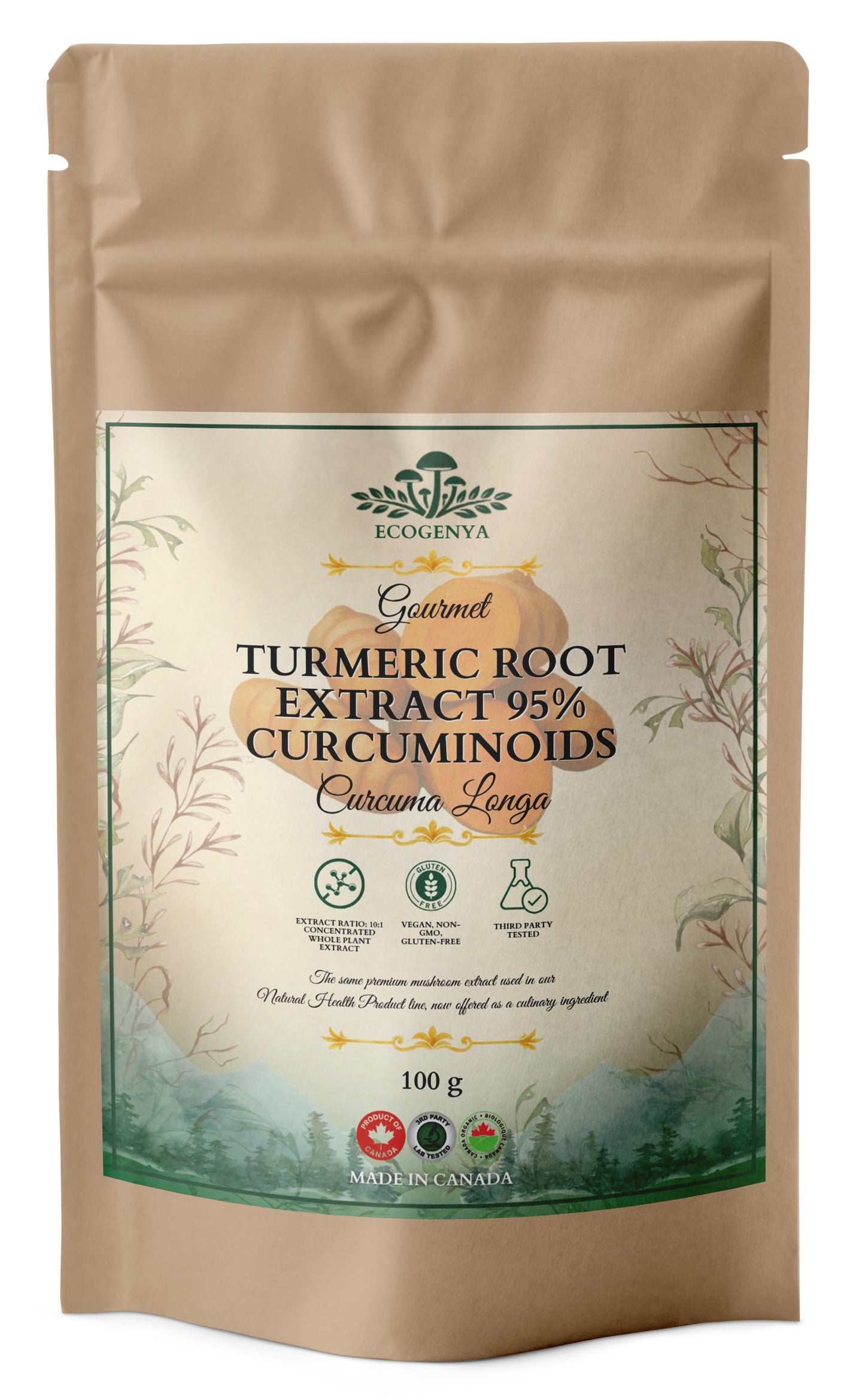 Turmeric Root Extract 95% Curcuminoids – Kitchen-Ready