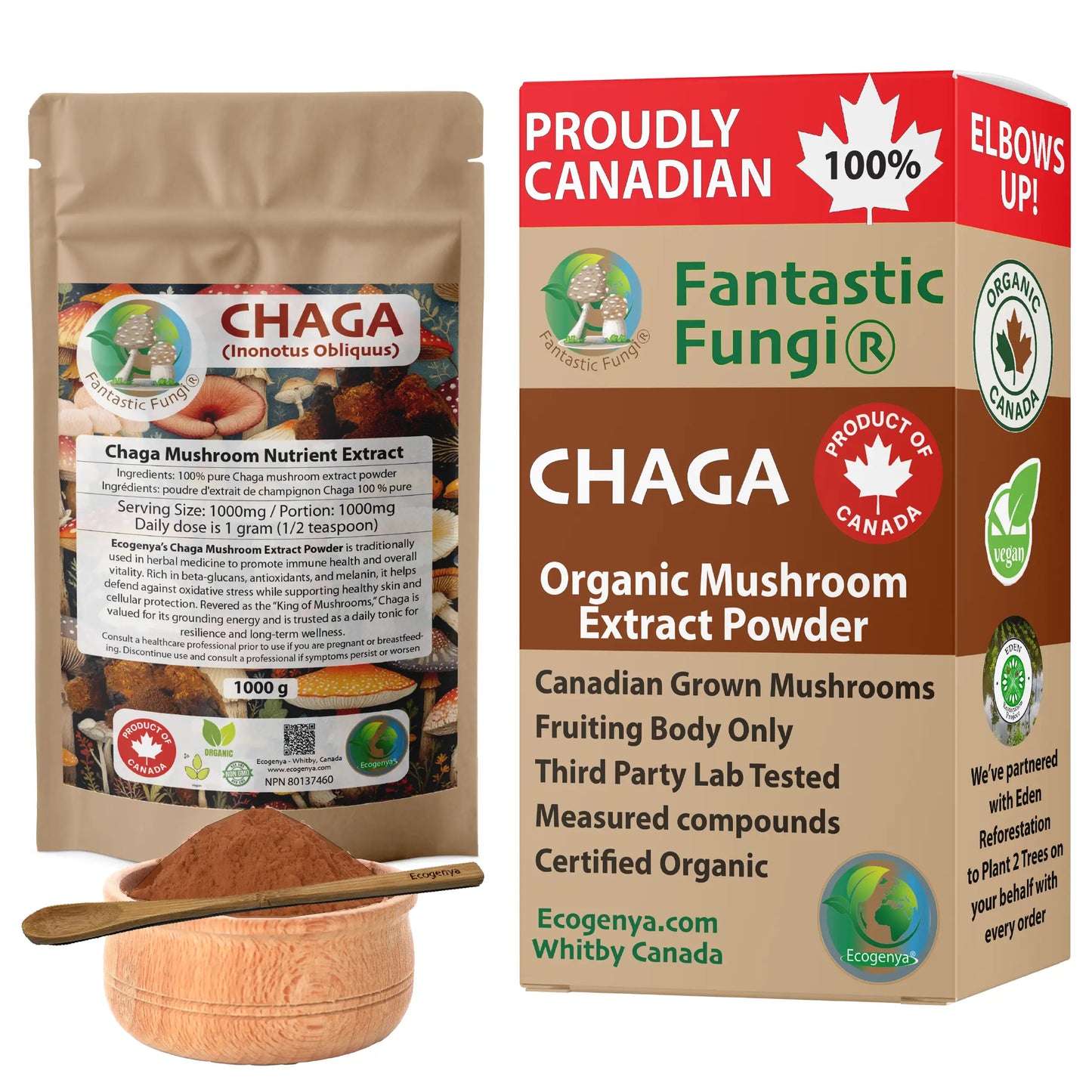 Chaga (Inonotus obliquus) biologique en poudre d'extrait de champignon / Extrait de Chaga (Inonotus obliquus) biologique en poudre