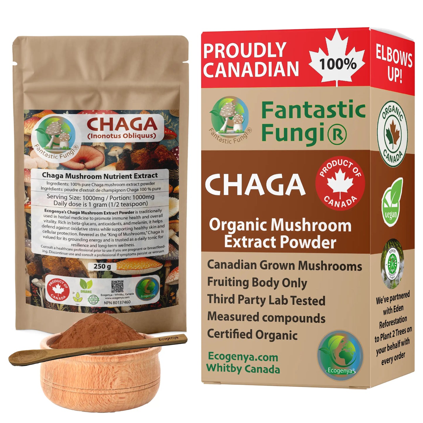 Chaga (Inonotus obliquus) biologique en poudre d'extrait de champignon / Extrait de Chaga (Inonotus obliquus) biologique en poudre