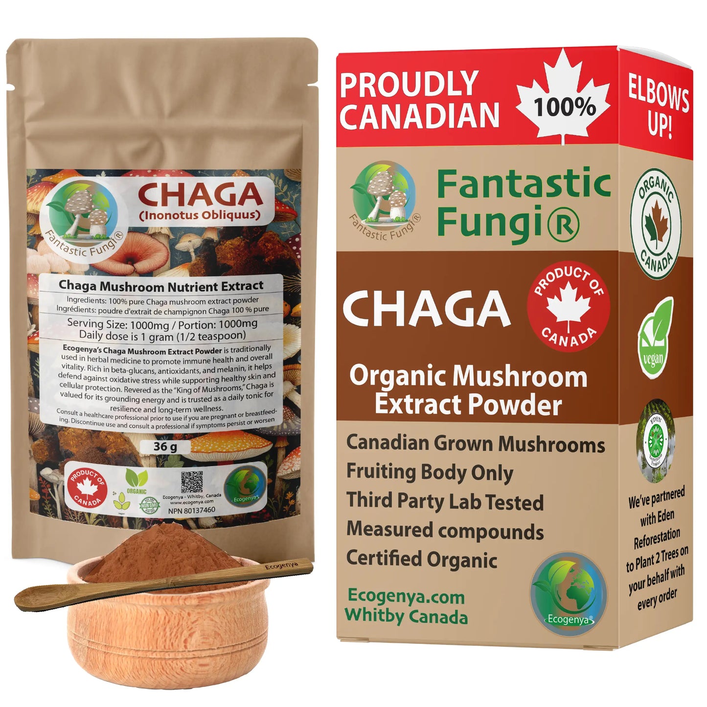 Chaga (Inonotus obliquus) biologique en poudre d'extrait de champignon / Extrait de Chaga (Inonotus obliquus) biologique en poudre