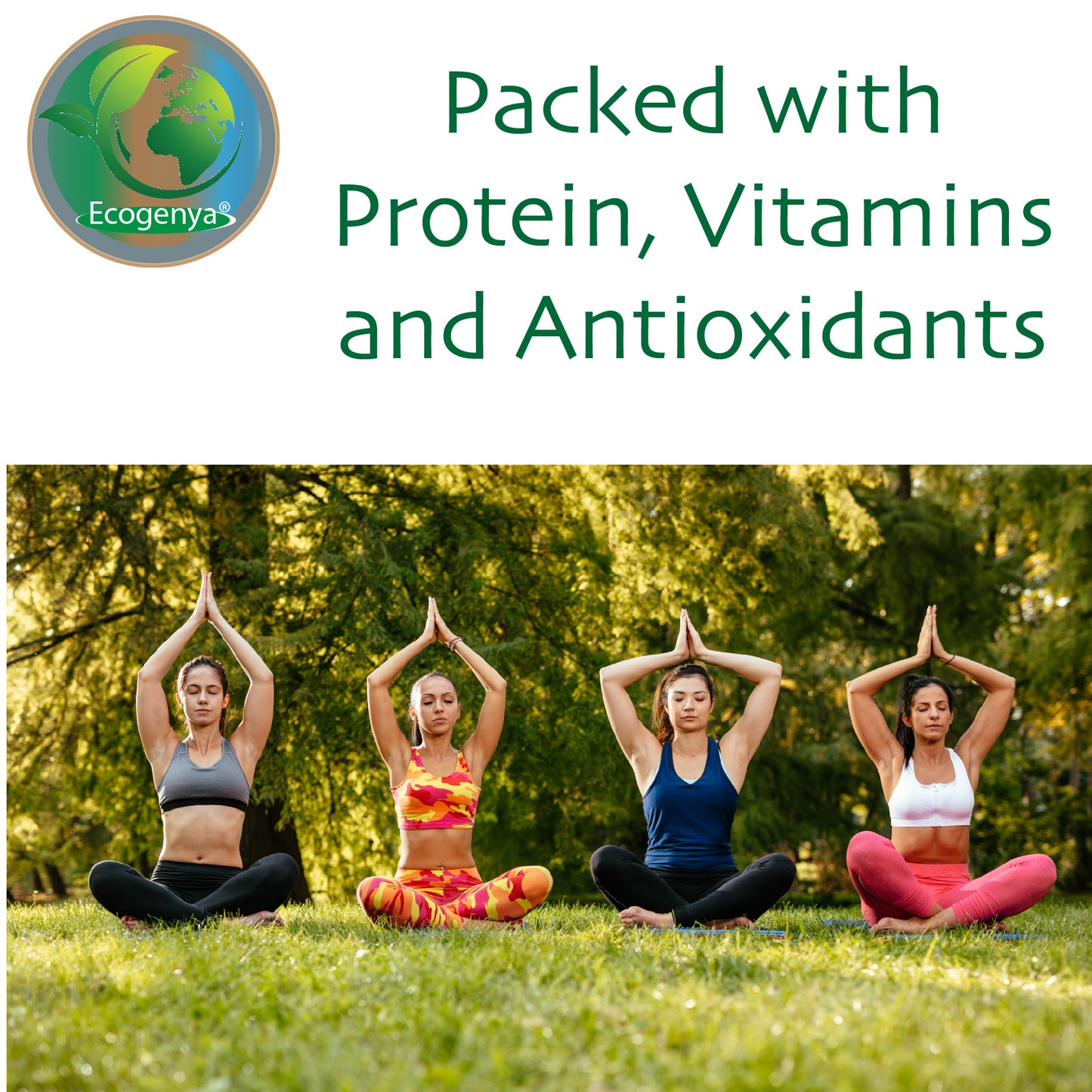 Organic Broken Cell Chlorella Tablets - 500mg - High Potency