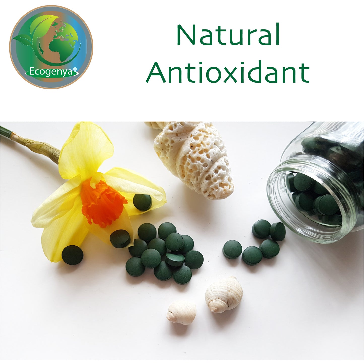 Organic Broken Cell Chlorella Tablets - 500mg - High Potency