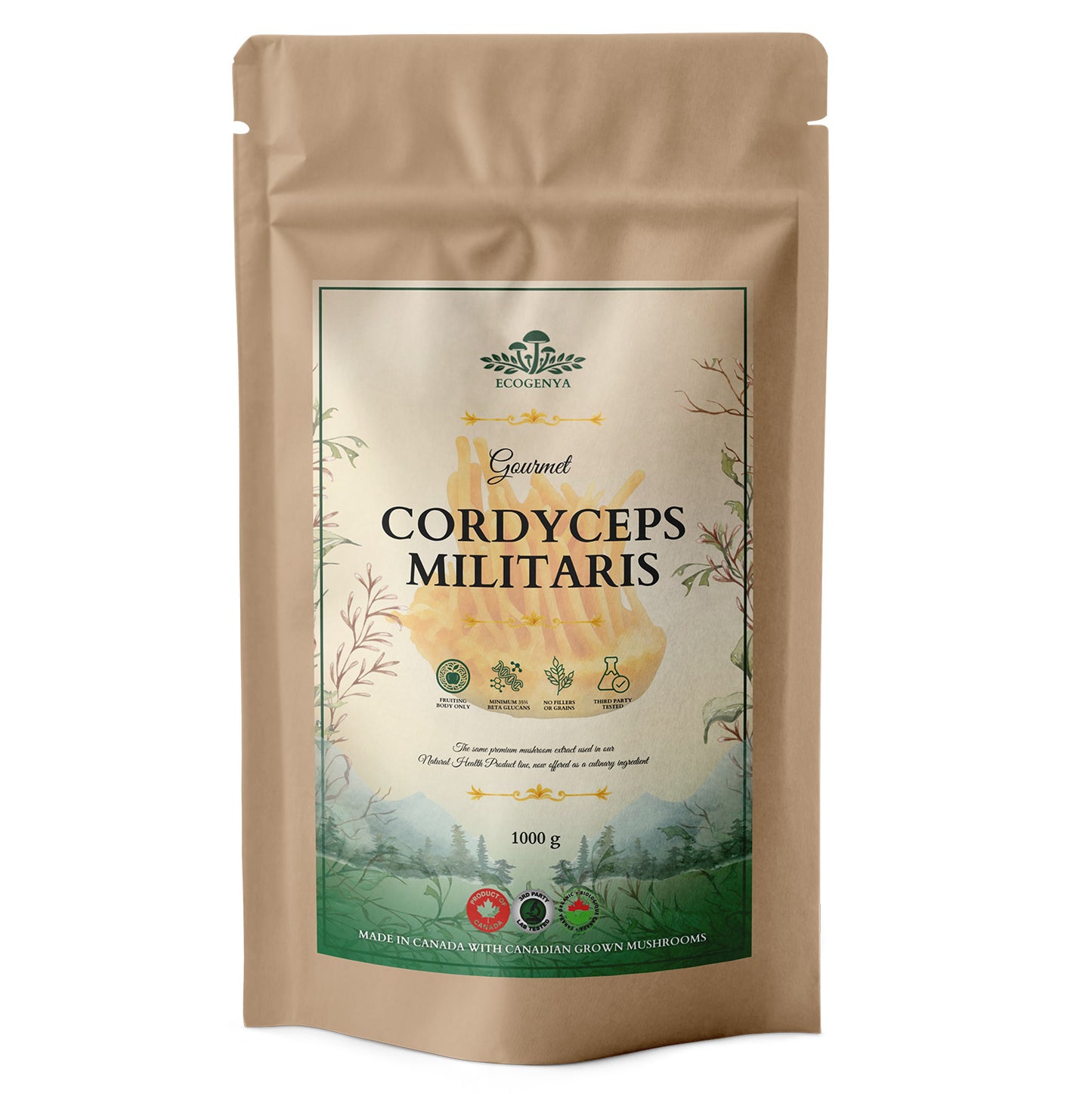 Mélange Gourmet Super 7 Champignons – Poudre d'Extrait de Champignons Biologique