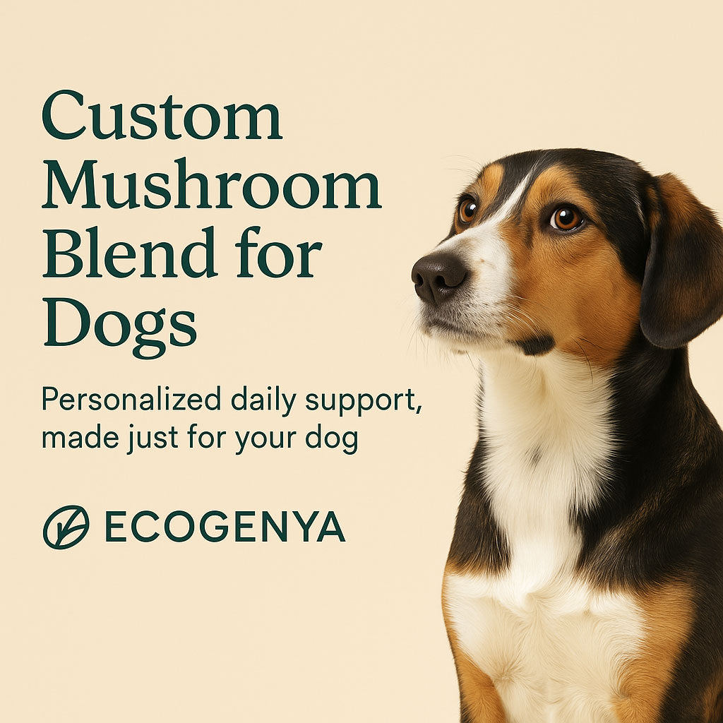Custom Blended Mushroom Extract for Dogs - Personalized Wellness Formula