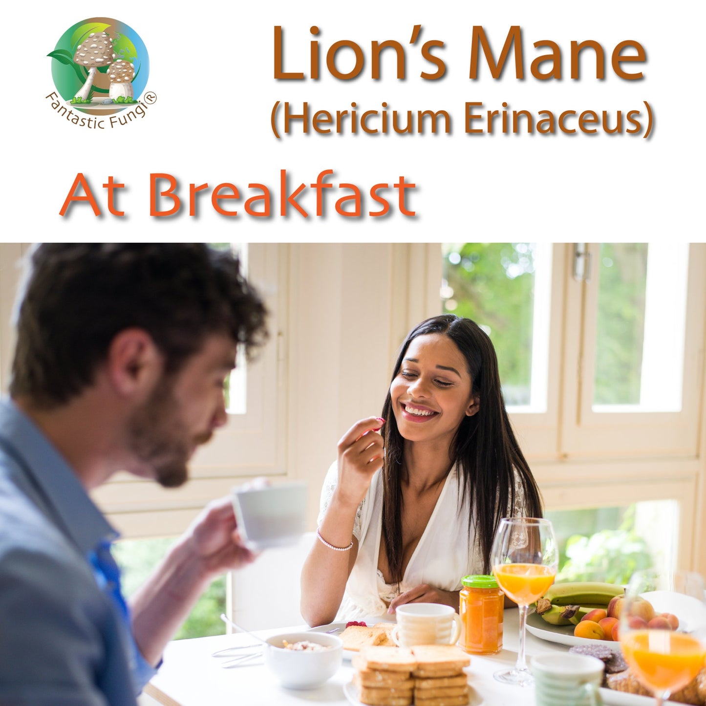 Ecogenya Continental Lion's Mane (hericium erinaceus) Mushroom Extract Powder - | Highly Concentrated - Ecogenya