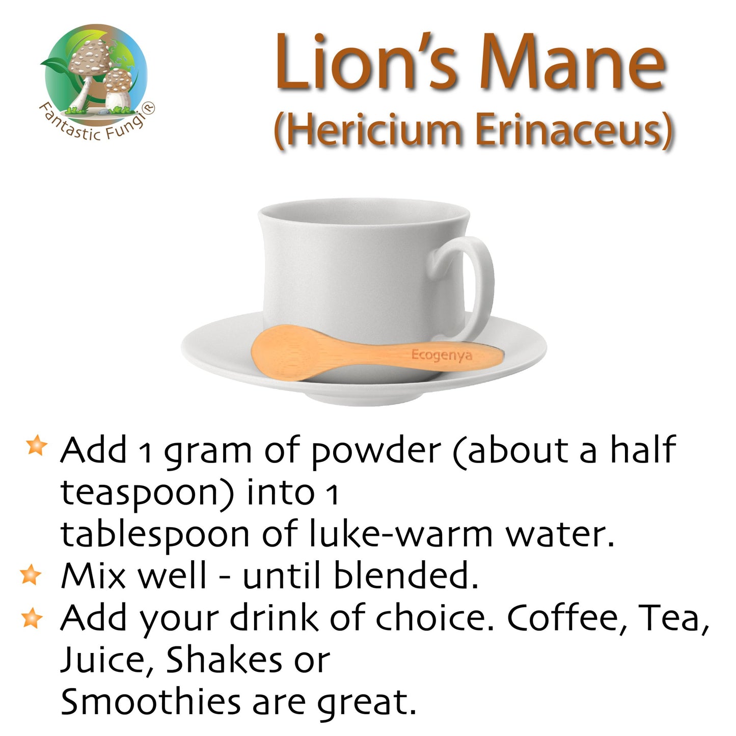 Ecogenya Continental Lion's Mane (hericium erinaceus) Mushroom Extract Powder - | Highly Concentrated - Ecogenya
