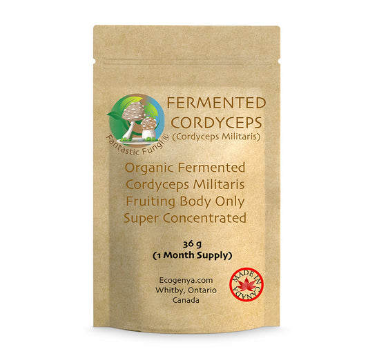 Ecogenya Fermented Cordyceps Mushroom Extract Powder in a kraft stand-up pouch — packaged in Canada