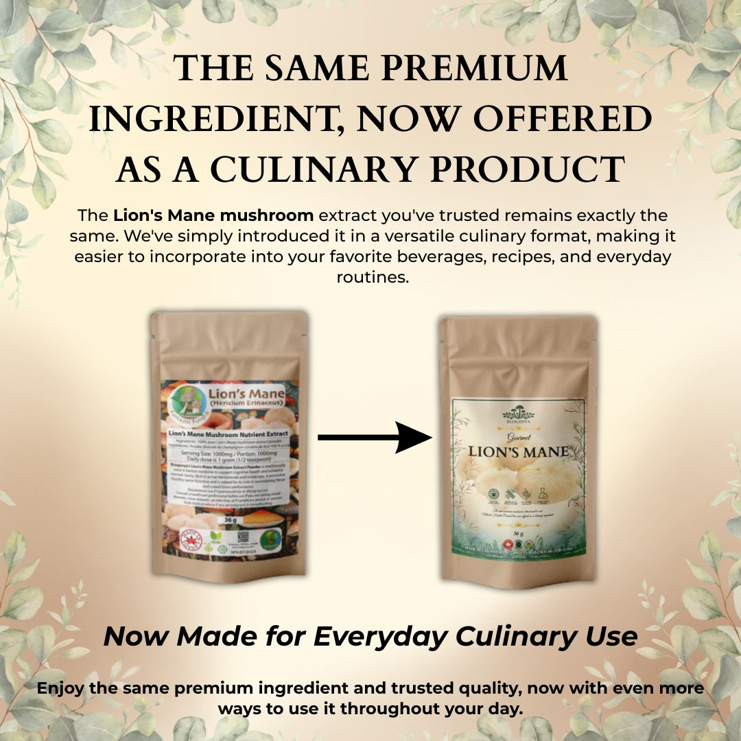 Ecogenya Gourmet Lion's Mane Mushroom Powder – Organic Fruiting Body Extract, 35% Beta-Glucans