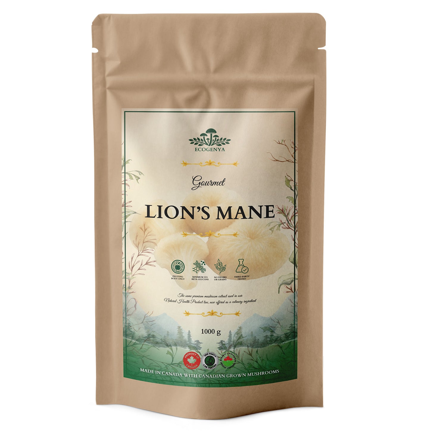 Gourmet Lion’s Mane Mushroom Powder – Organic Lion’s Mane Extract