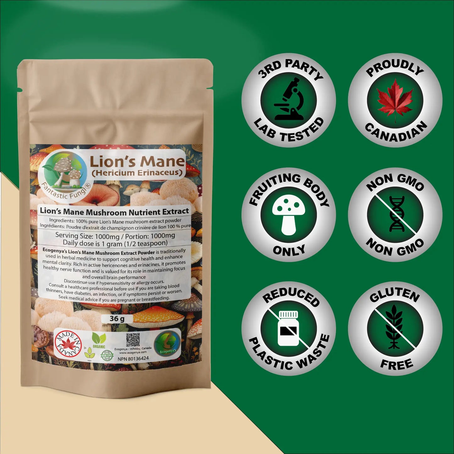 Organic Lion’s Mane (Hericium Erinaceus) Mushroom extract powder / Extrait d’hydne hérisson (Hericium Erinaceus) biologique en poudre