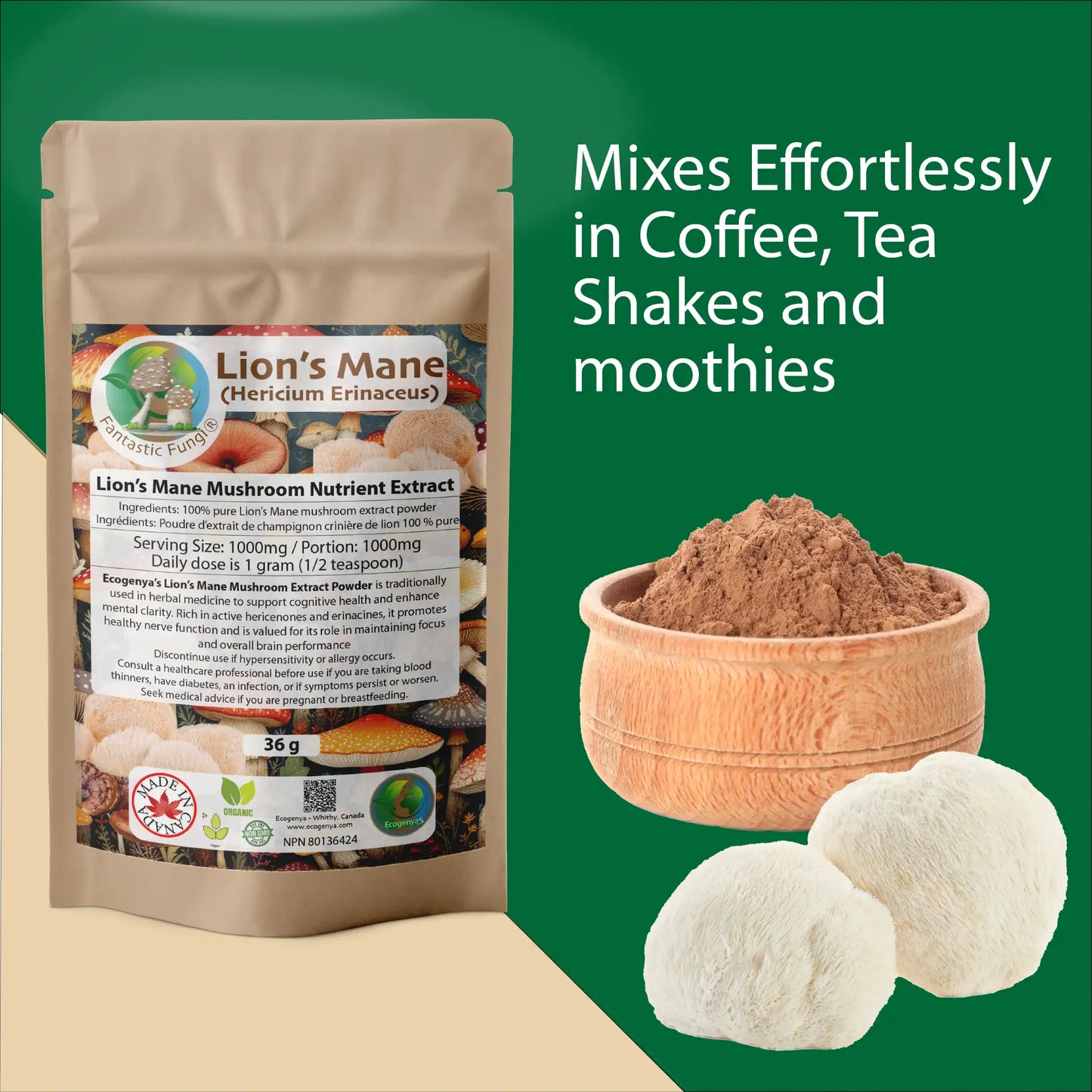 Organic Lion’s Mane (Hericium Erinaceus) Mushroom extract powder / Extrait d’hydne hérisson (Hericium Erinaceus) biologique en poudre