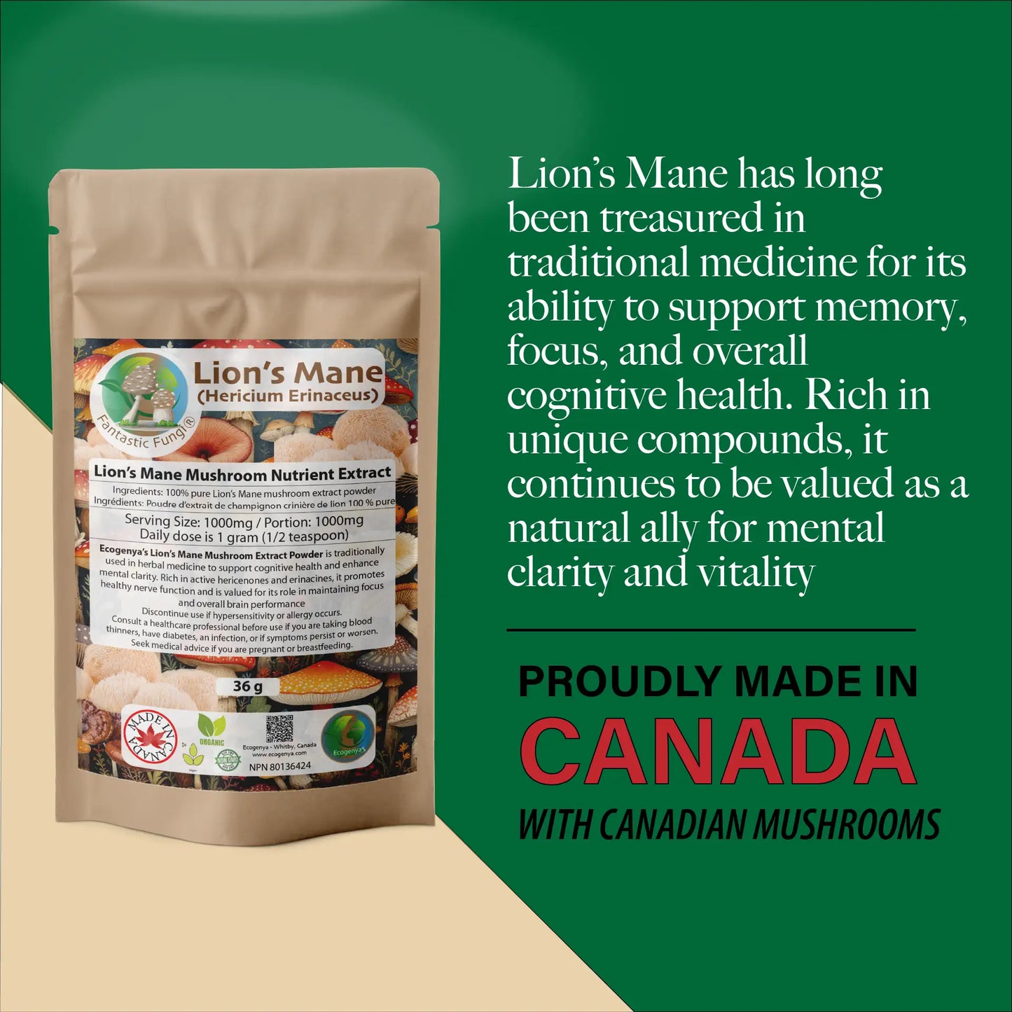 Organic Lion’s Mane (Hericium Erinaceus) Mushroom extract powder / Extrait d’hydne hérisson (Hericium Erinaceus) biologique en poudre