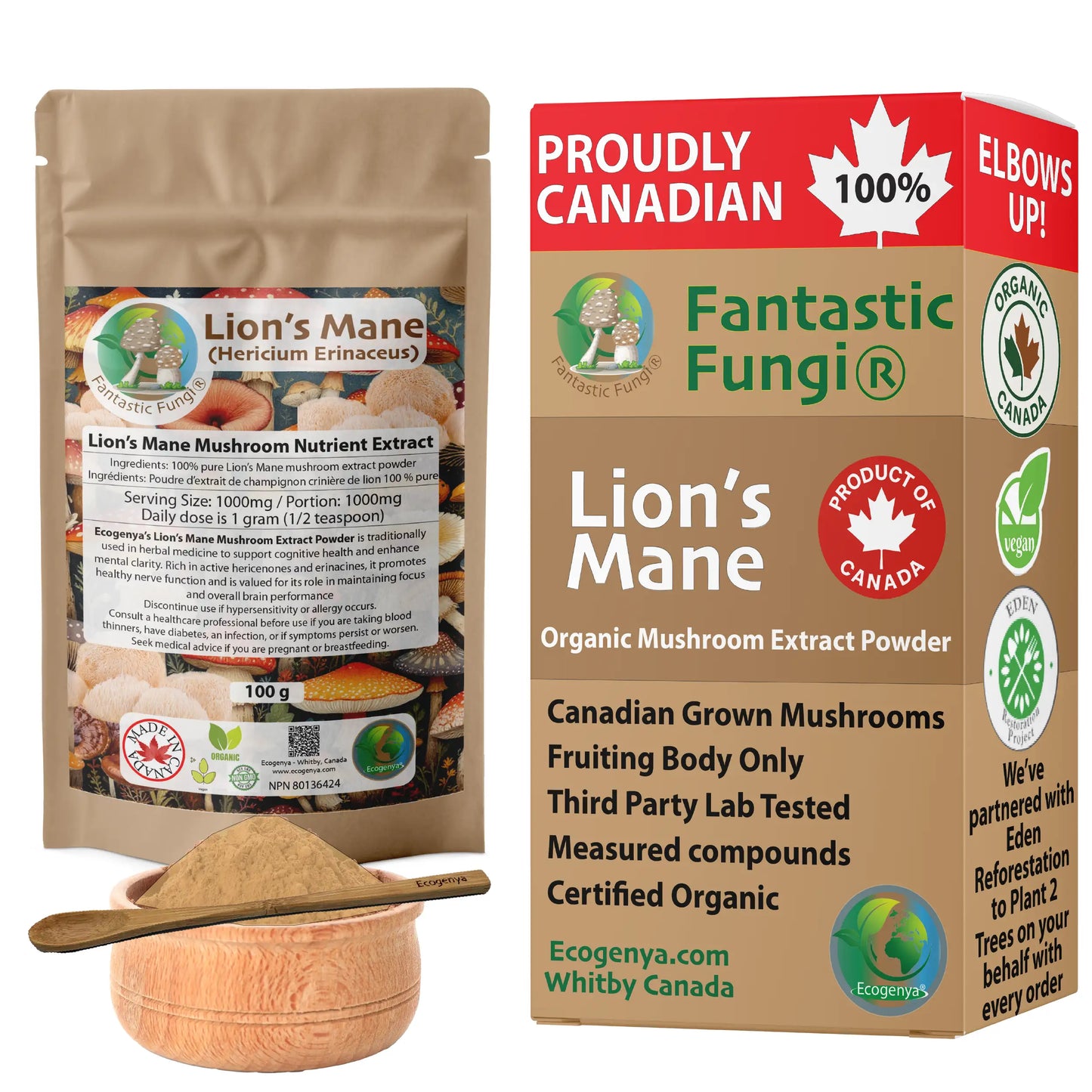 Organic Lion’s Mane (Hericium Erinaceus) Mushroom extract powder / Extrait d’hydne hérisson (Hericium Erinaceus) biologique en poudre