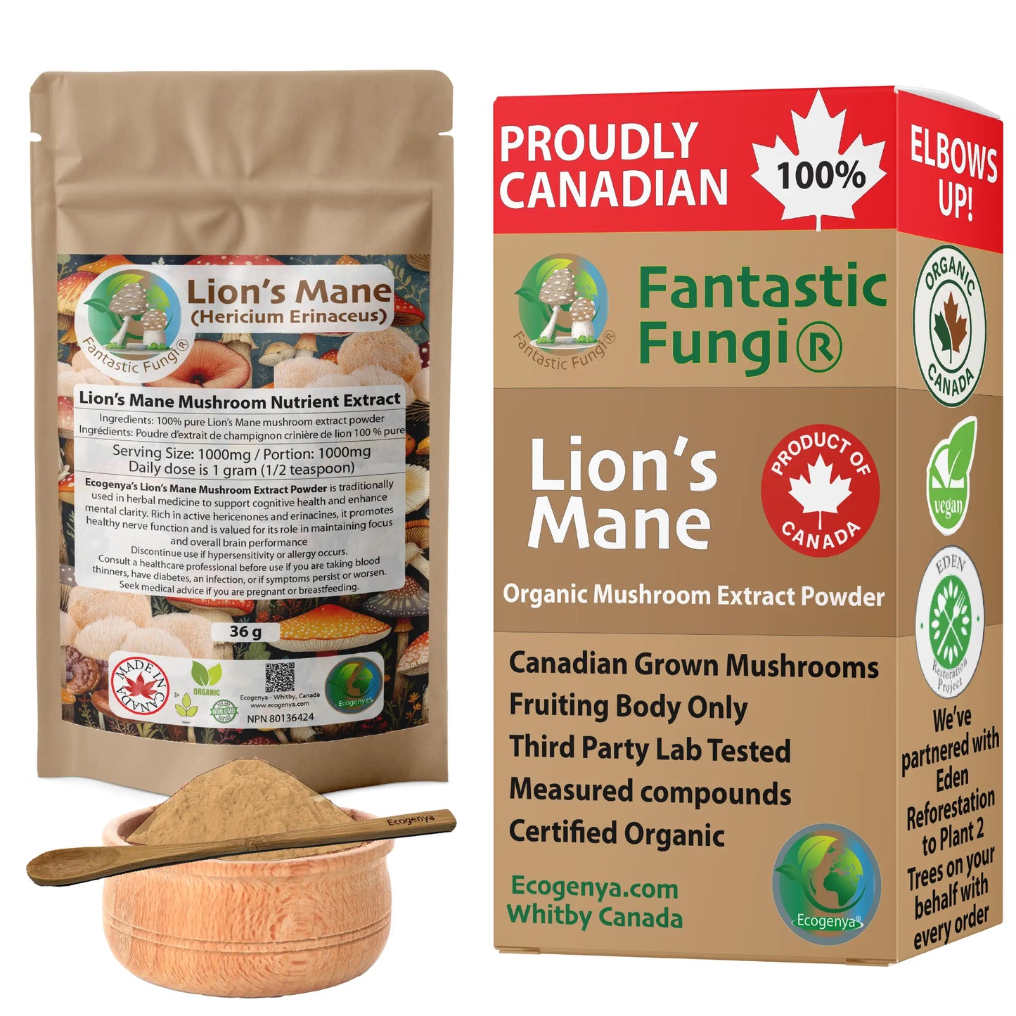 Organic Lion’s Mane (Hericium Erinaceus) Mushroom extract powder / Extrait d’hydne hérisson (Hericium Erinaceus) biologique en poudre
