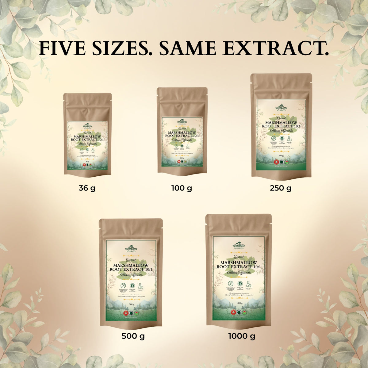 Ecogenya Marshmallow Root Extract 10:1 available in 36 g, 100 g, 250 g, 500 g and 1000 g pouches