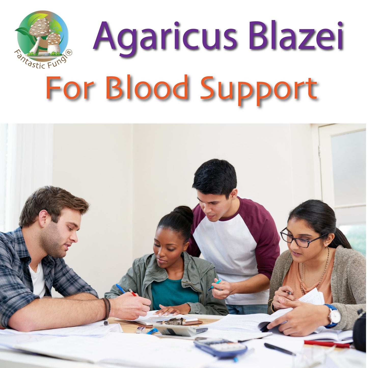Organic Agaricus Blazei Mushroom Nutrient Extract Powder – Extrait nutritif en poudre de champignon Agaricus Blazei biologique - Ecogenya