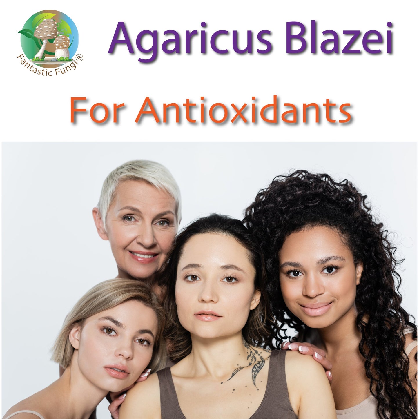 Organic Agaricus Blazei Mushroom Nutrient Extract Powder – Extrait nutritif en poudre de champignon Agaricus Blazei biologique - Ecogenya