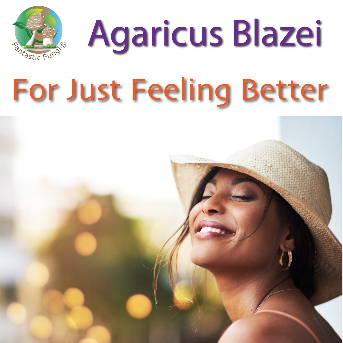 Organic Agaricus Blazei Mushroom Nutrient Extract Powder – Extrait nutritif en poudre de champignon Agaricus Blazei biologique - Ecogenya