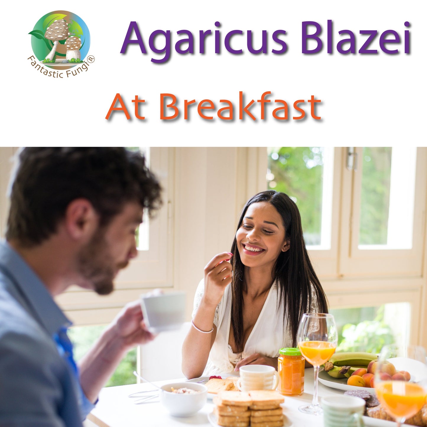 Organic Agaricus Blazei Mushroom Nutrient Extract Powder – Extrait nutritif en poudre de champignon Agaricus Blazei biologique - Ecogenya