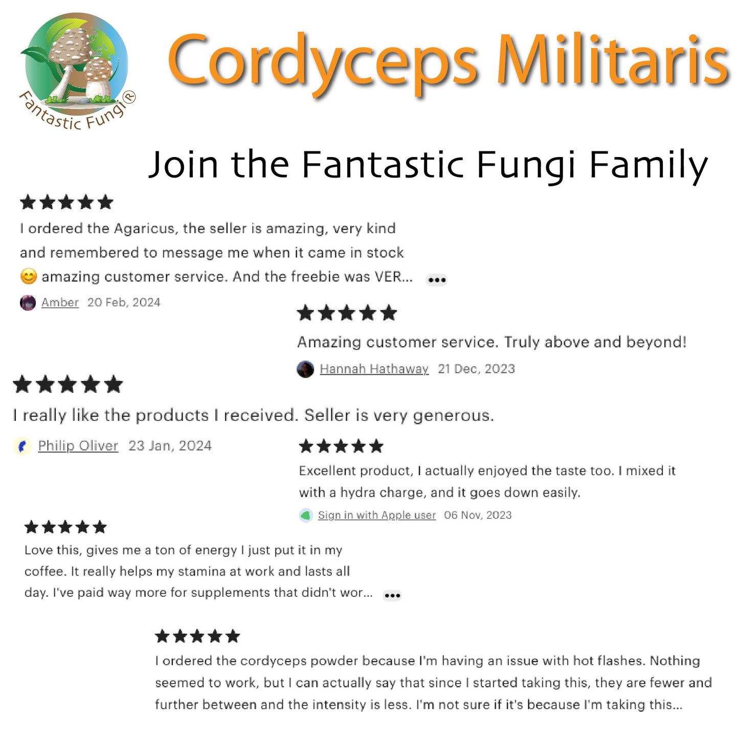 Organic Cordyceps Militaris Mushroom extract powder / Extrait de Cordyceps Militaris biologique en poudre – Halal, Kosher, Vegan, Non-GMO - Ecogenya