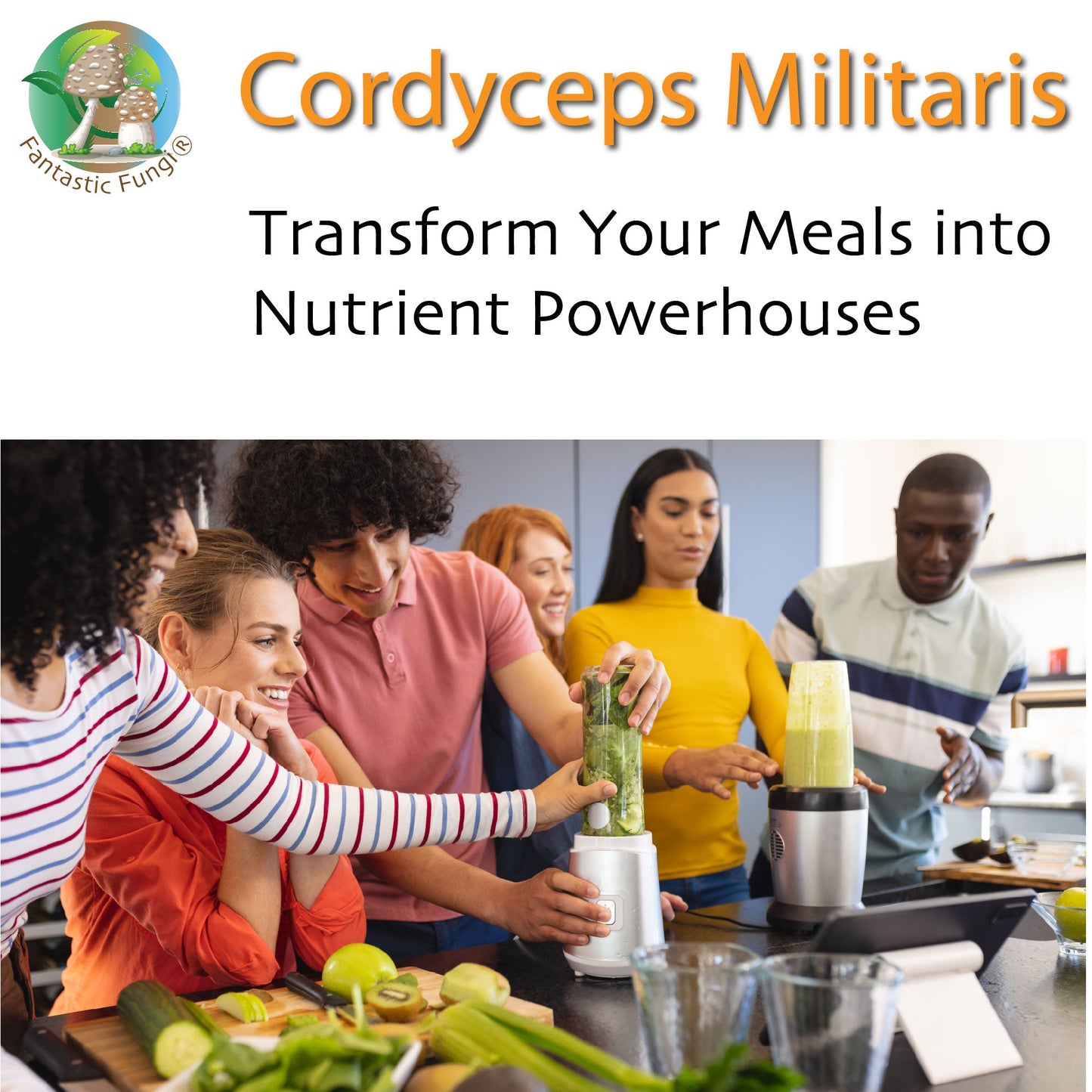 Organic Cordyceps Militaris Mushroom extract powder / Extrait de Cordyceps Militaris biologique en poudre – Halal, Kosher, Vegan, Non-GMO - Ecogenya