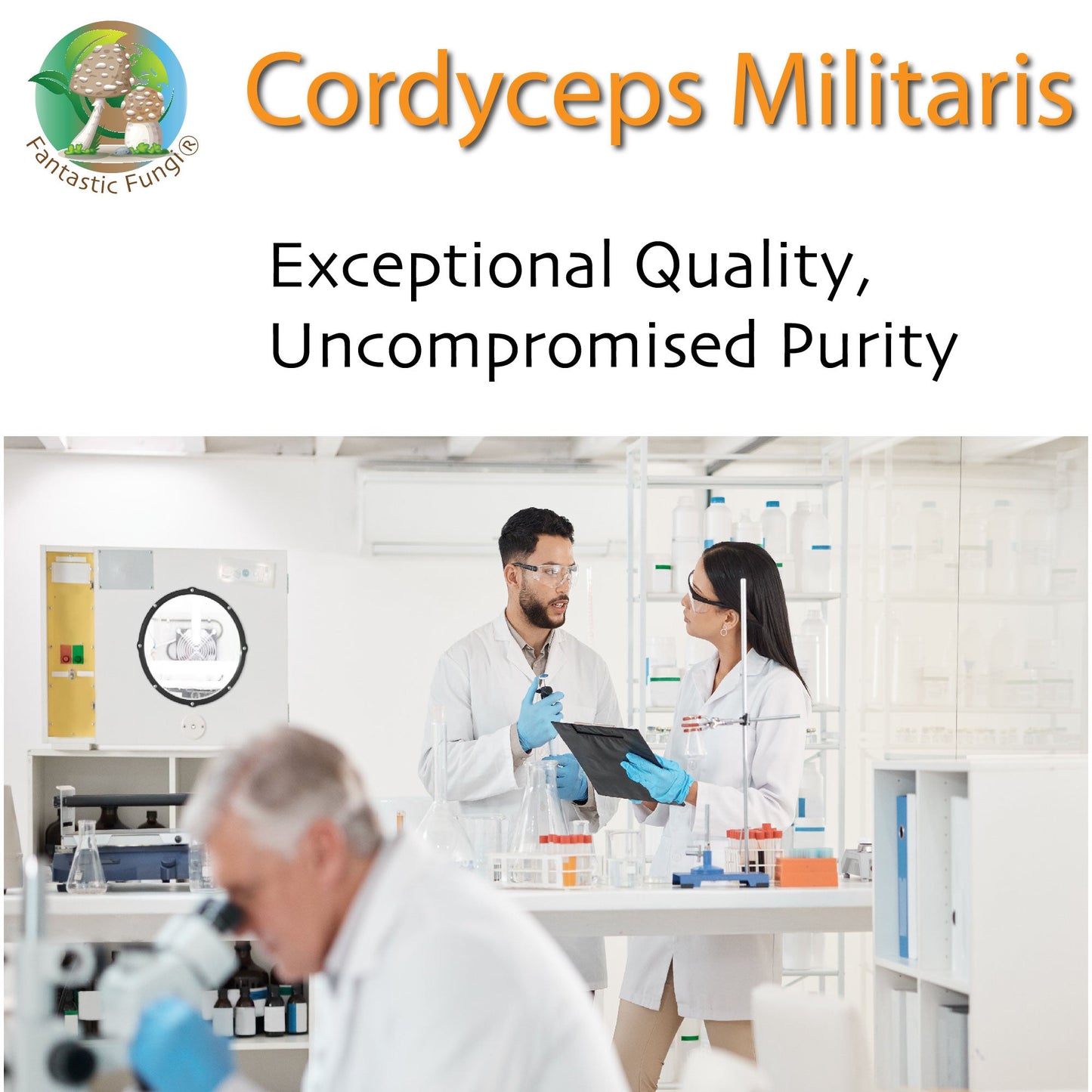Organic Cordyceps Militaris Mushroom extract powder / Extrait de Cordyceps Militaris biologique en poudre – Halal, Kosher, Vegan, Non-GMO - Ecogenya