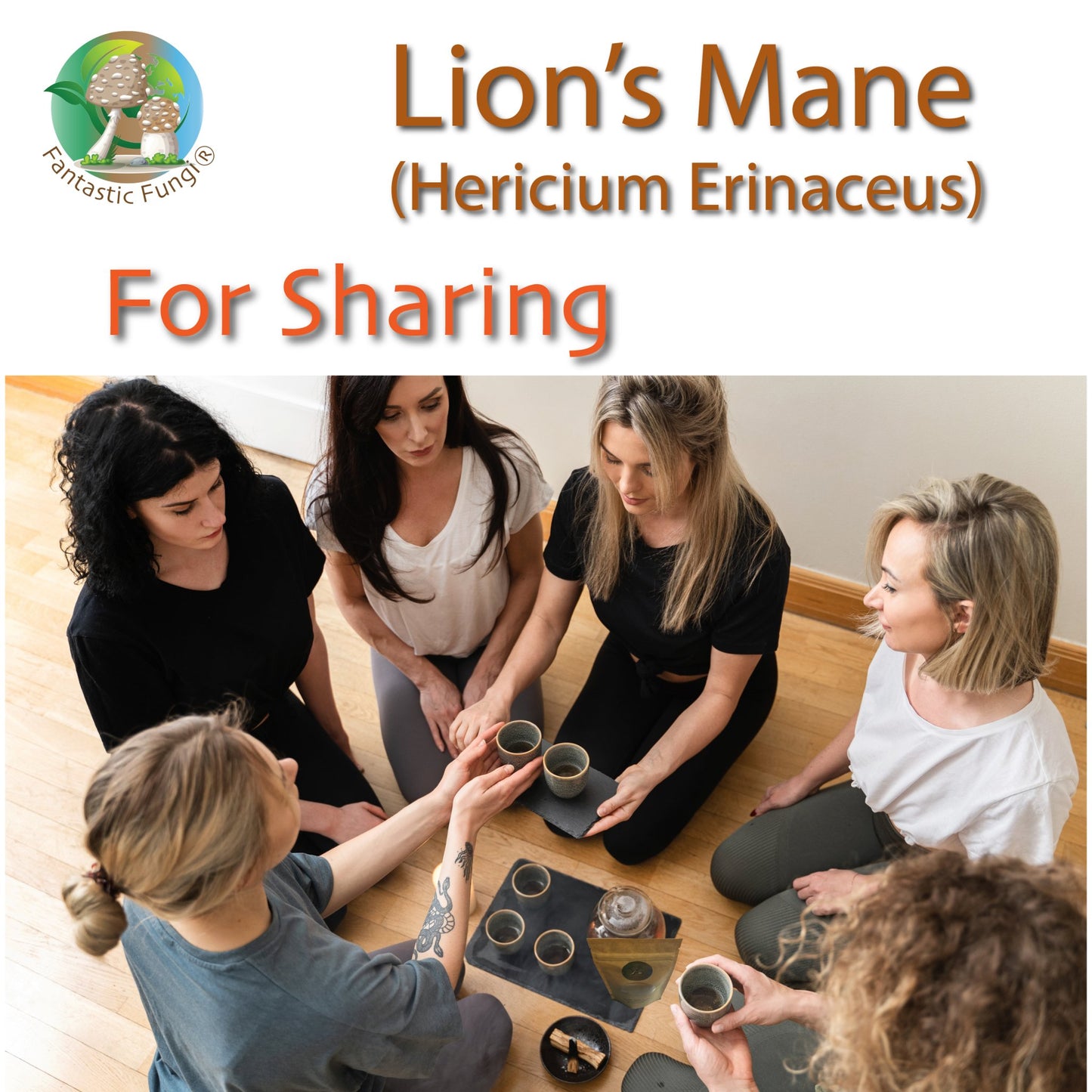 Organic Lion’s Mane (Hericium Erinaceus) Mushroom extract powder / Extrait d’hydne hérisson (Hericium Erinaceus) biologique en poudre - Ecogenya