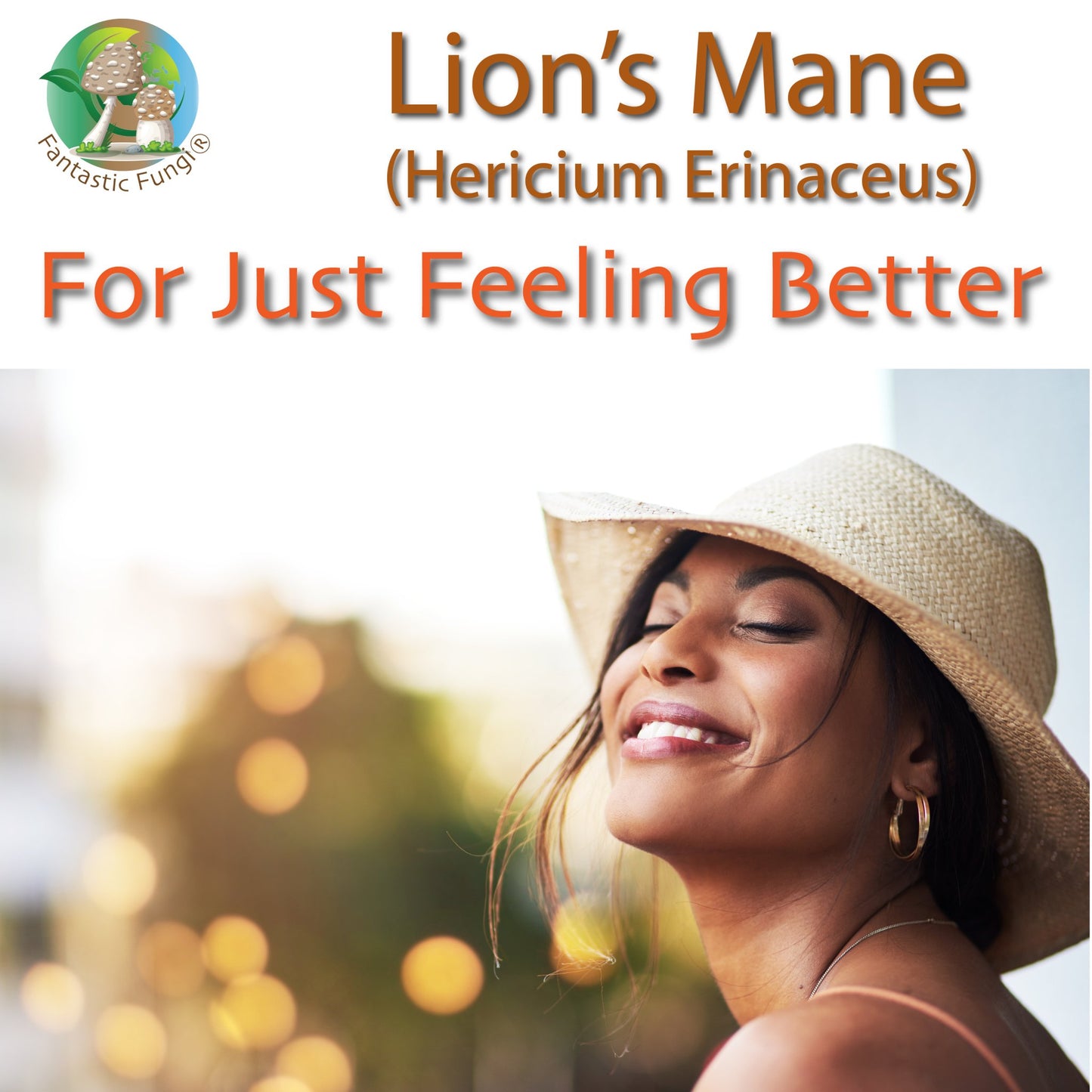 Organic Lion’s Mane (Hericium Erinaceus) Mushroom extract powder / Extrait d’hydne hérisson (Hericium Erinaceus) biologique en poudre - Ecogenya