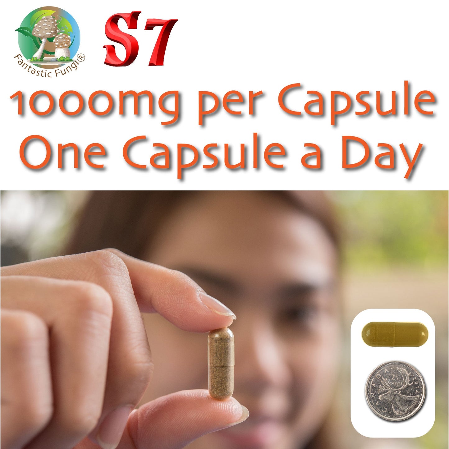Organic Super Seven Mushroom blend extract Capsules – Halal, Kosher, Vegan, Non - GMO - Ecogenya