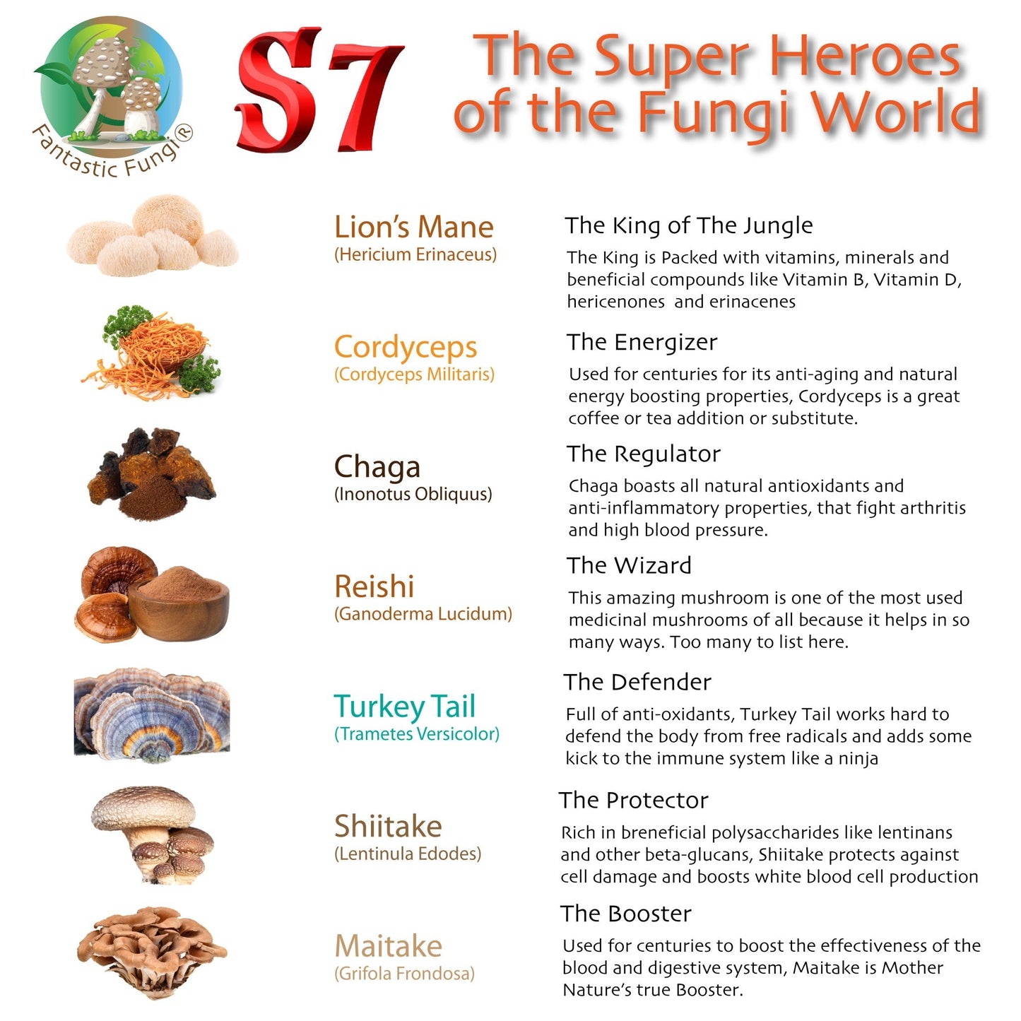Organic Super Seven Mushroom blend extract Capsules – Halal, Kosher, Vegan, Non - GMO - Ecogenya