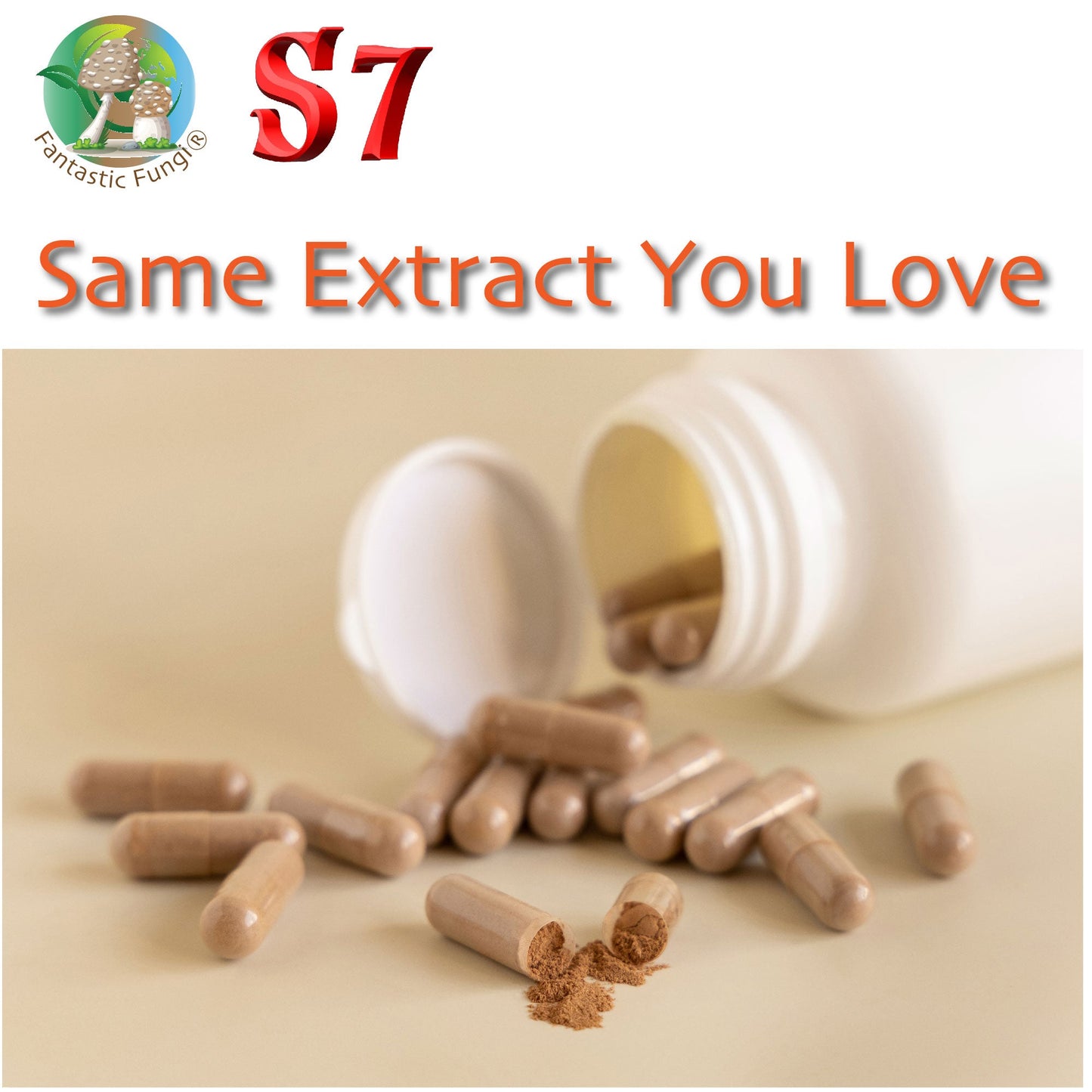 Organic Super Seven Mushroom blend extract Capsules – Halal, Kosher, Vegan, Non - GMO - Ecogenya