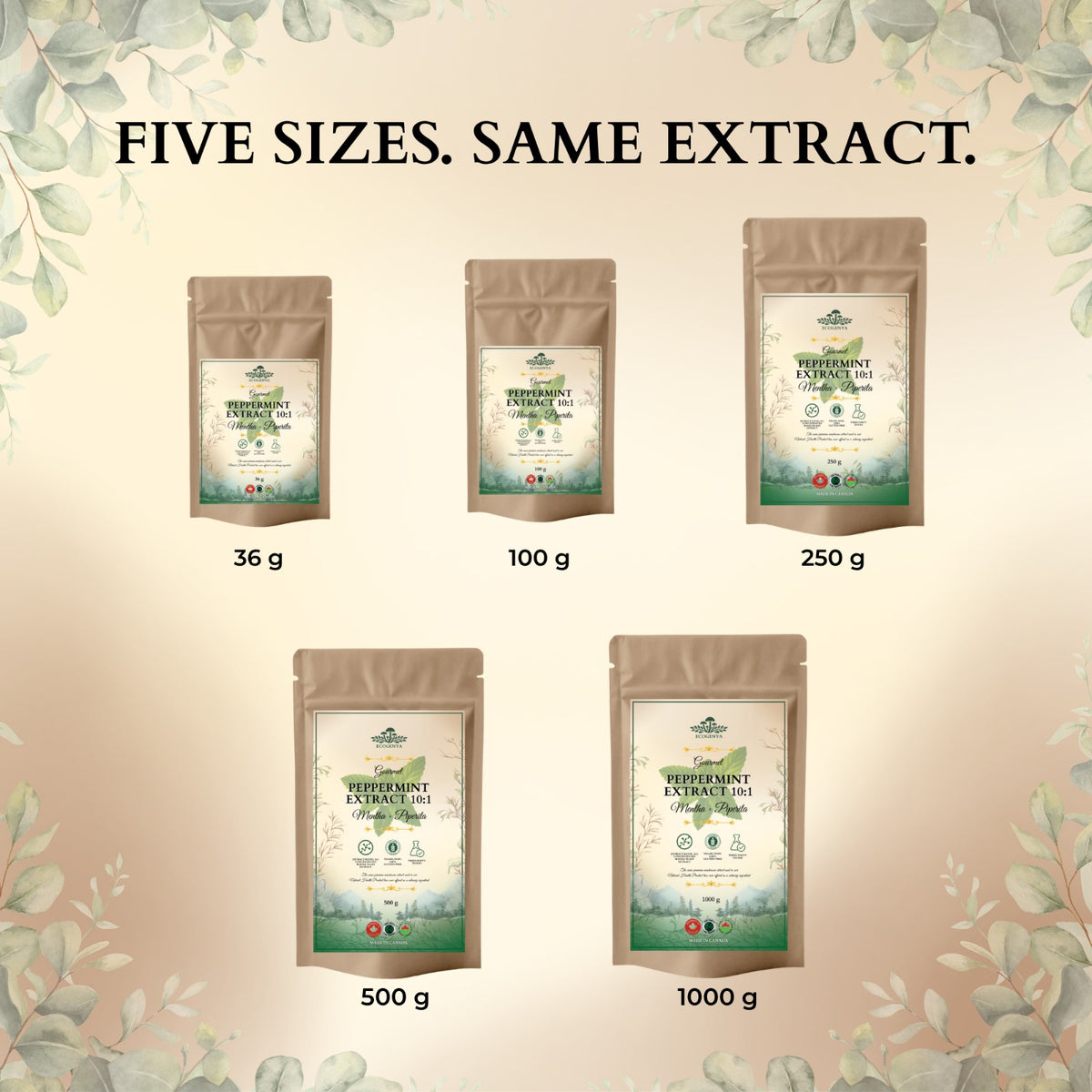 Ecogenya Peppermint Extract 10:1 available in 36 g, 100 g, 250 g, 500 g and 1000 g pouches