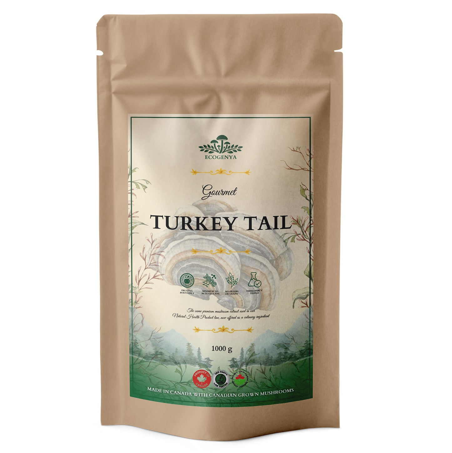 Gourmet Turkey Tail Mushroom Powder – Organic Turkey Tail Extract