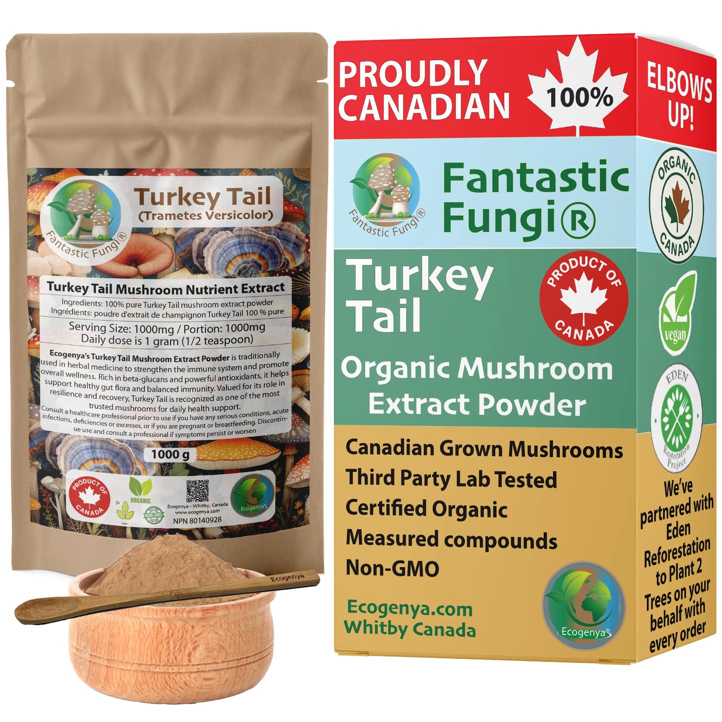 Turkey Tail (Trametes Versicolor) Mushroom Extract – Organic, Vegan, Non-GMO, Halal, Kosher