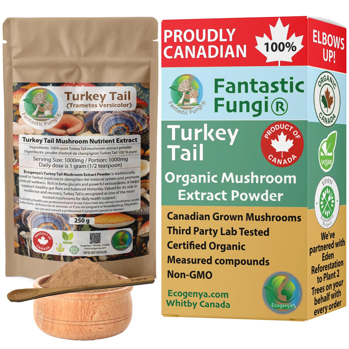 Turkey Tail (Trametes Versicolor) Mushroom Extract – Organic, Vegan, Non-GMO, Halal, Kosher
