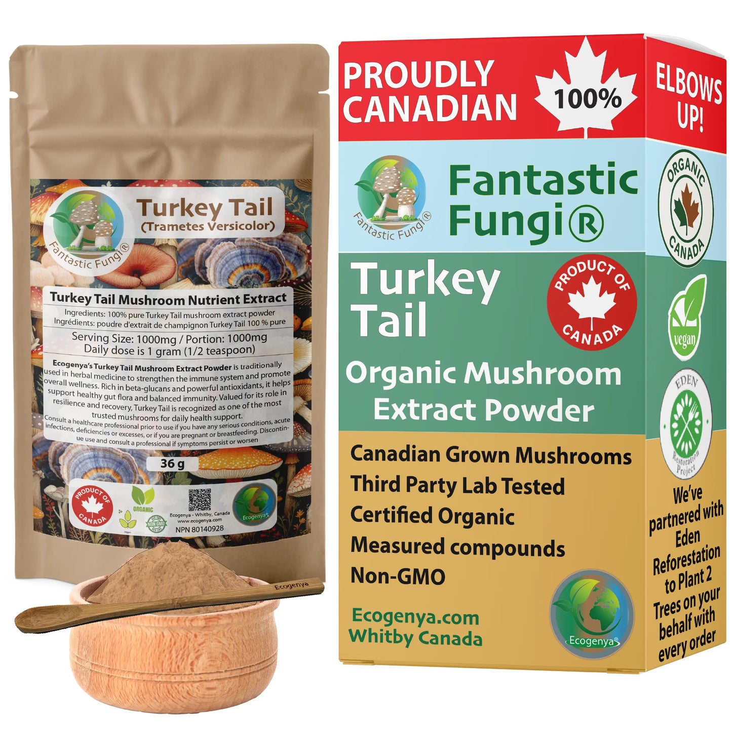 Turkey Tail (Trametes Versicolor) Mushroom Extract – Organic, Vegan, Non-GMO, Halal, Kosher