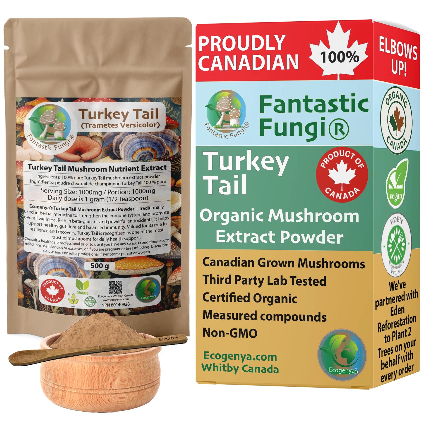 Turkey Tail (Trametes Versicolor) Mushroom Extract – Organic, Vegan, Non-GMO, Halal, Kosher