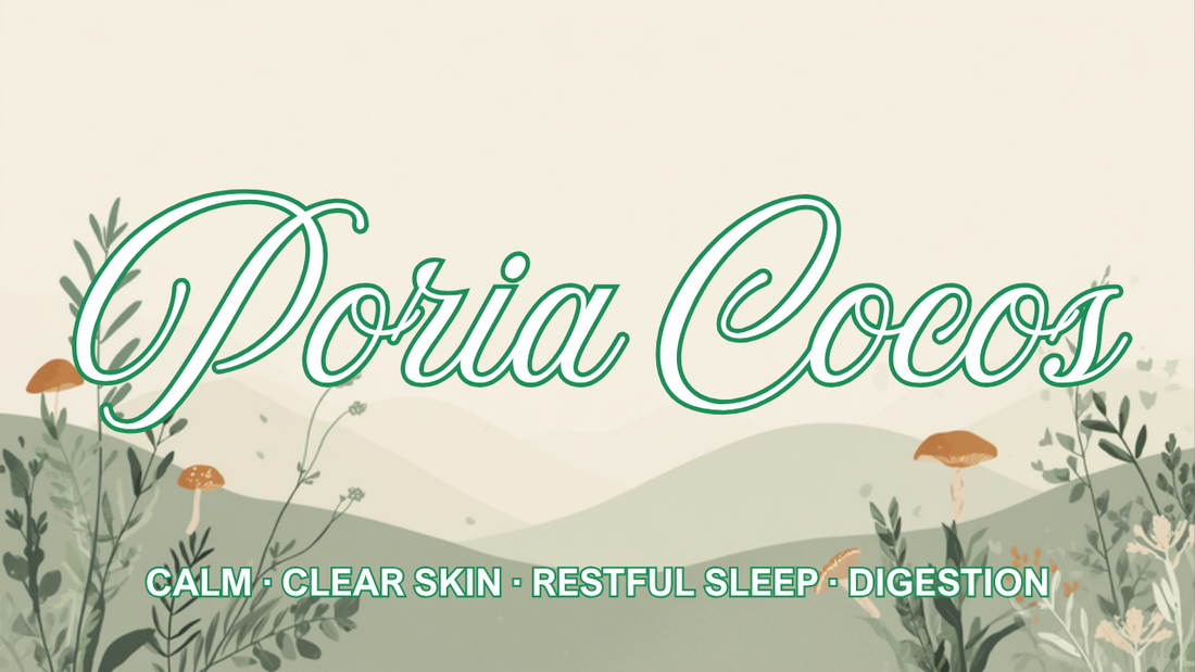 Poria Cocos benefits — Ecogenya organic Poria (Wolfiporia) extract