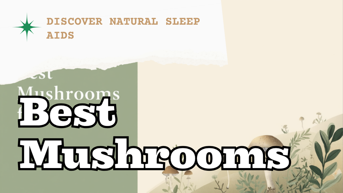Best mushrooms for sleep — Ecogenya
