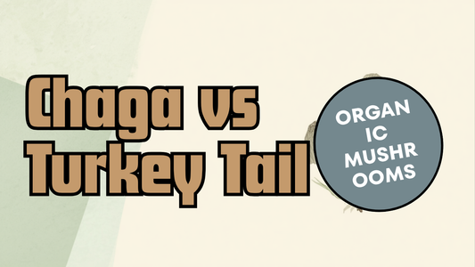 Chaga vs Turkey Tail comparison — Ecogenya