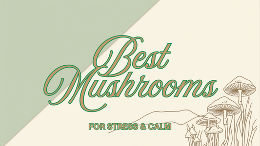 Best mushrooms for anxiety and stress — Ecogenya