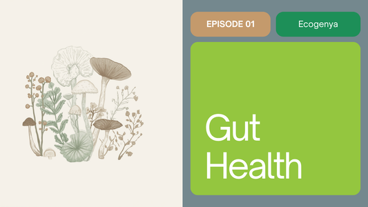 Best mushrooms for gut health — Ecogenya