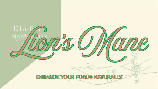 Lion's Mane for ADHD and focus — Ecogenya