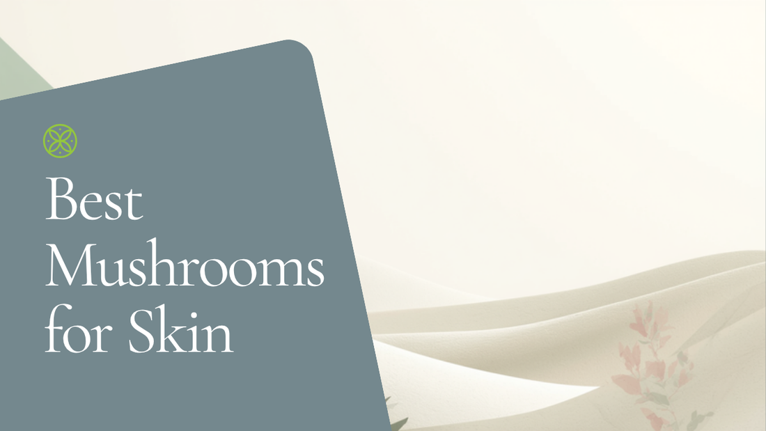 Best mushrooms for skin — Ecogenya
