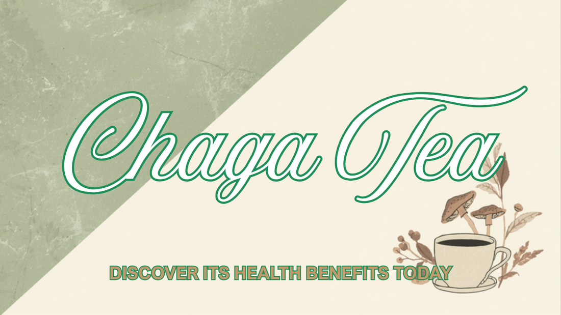 How to make chaga tea recipe — Ecogenya